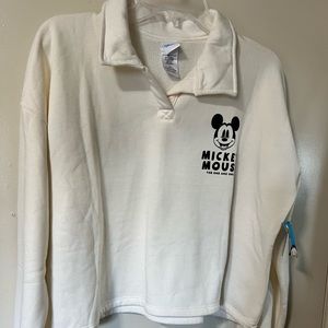 Mickey and friends crop sweater